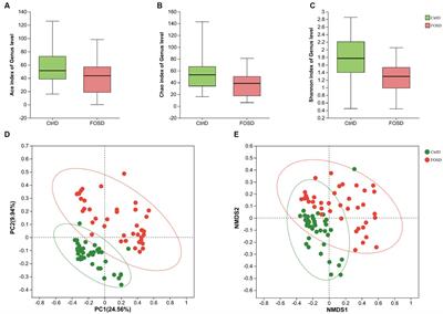 Effects of prebiotics on the gut microbiota in vitro associated with functional diarrhea in children